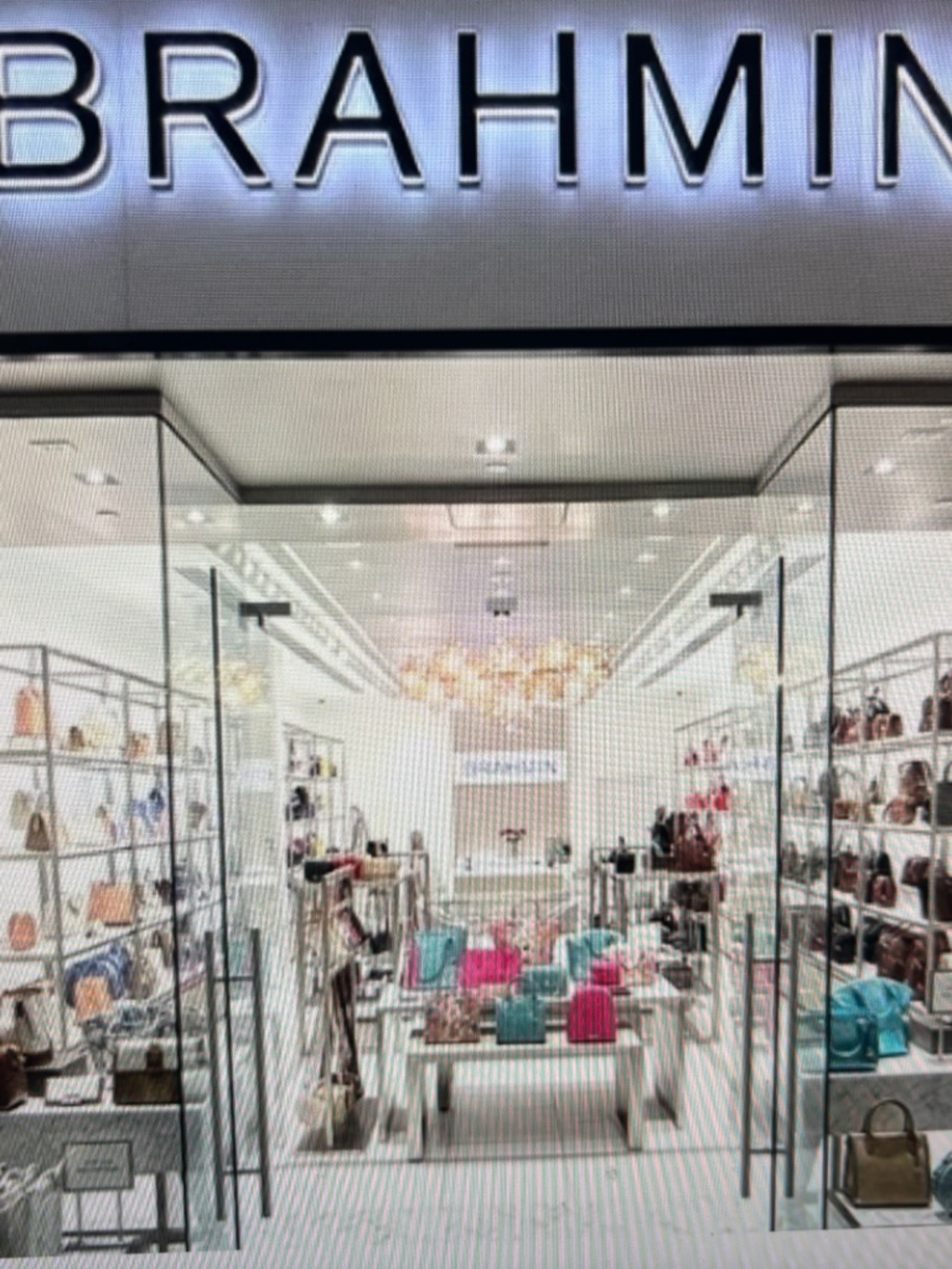 BRAHMIN USA-NWT $325.00 - Picture 12 of 16